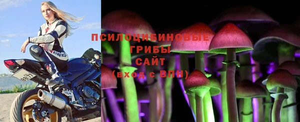 соль ск Алексеевка